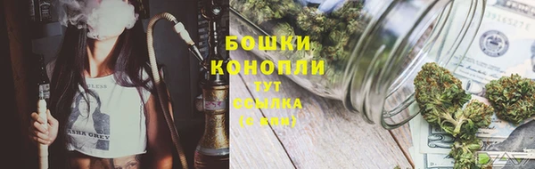 a pvp Магас