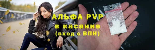 a pvp Магас