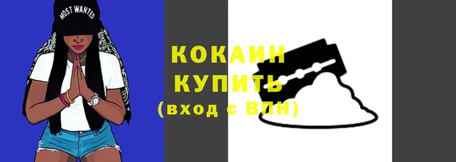 a pvp Магас