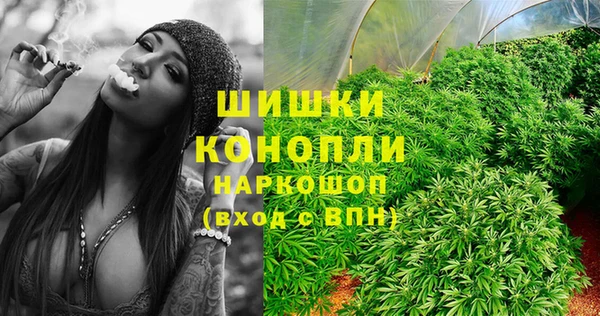 a pvp Магас
